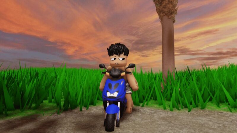 pengertian komaranagi